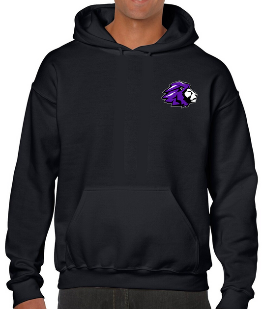 TCS "Class of 2026" Cotton Hoodie Sweatshirt